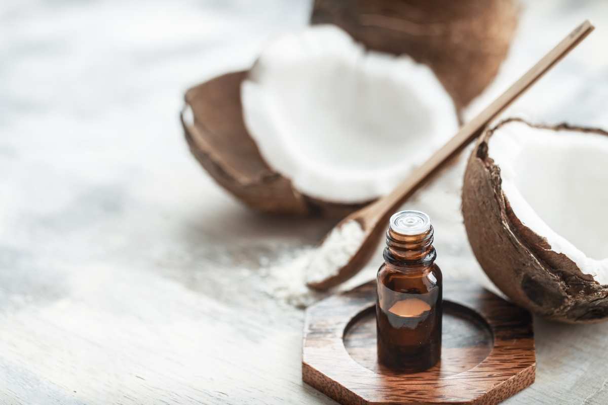 coconut-oil-for-cats-benefits-uses-safety-tips