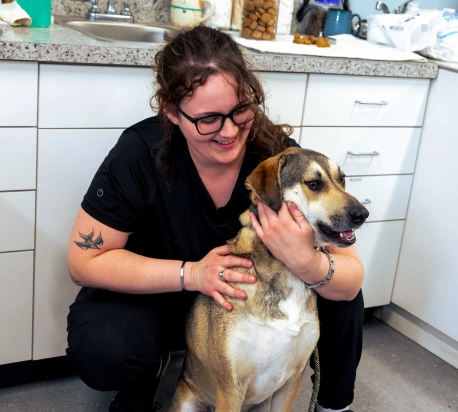 Quality Veterinary Care, Every Step of the Way - Dental Care