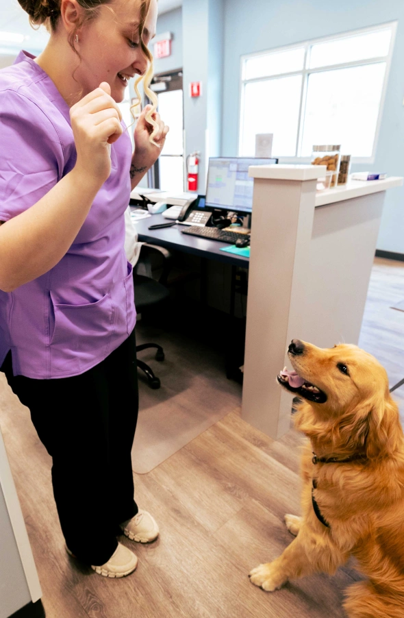 We are Excited to Meet New Patients