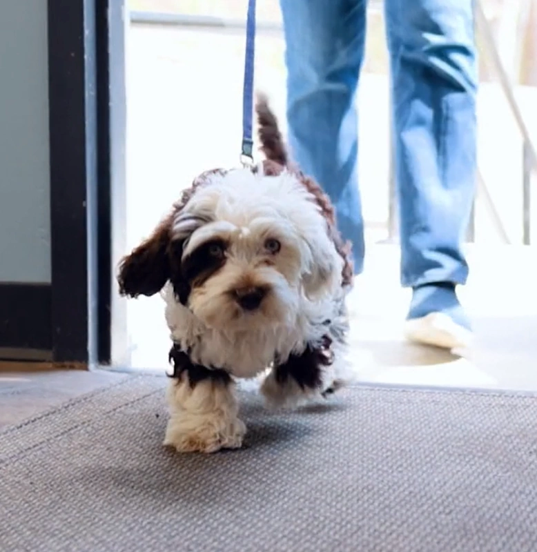 Welcome to Middlesex Veterinary Center