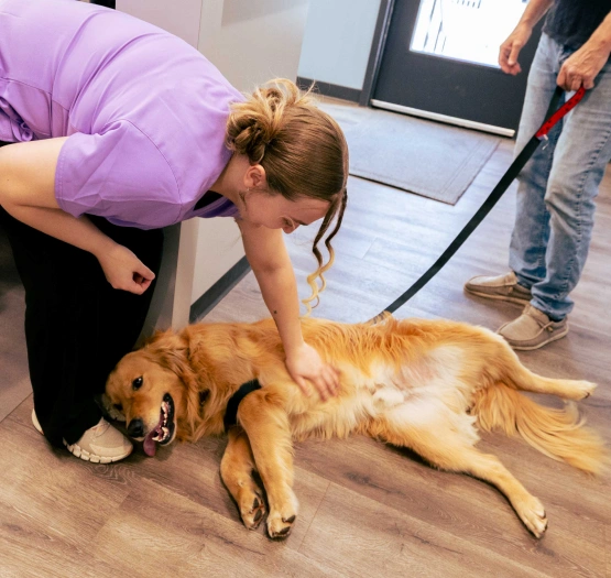 Pet End-of-Life Care - Peaceful Goodbyes for Beloved Pets