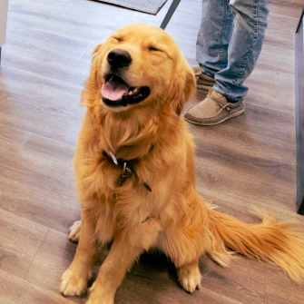 Full Service Vet Clinic - Senior Pet Care