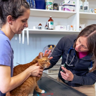 Full-service vet clinic Urgent Care