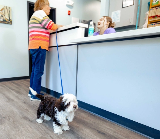 Hospital Policies