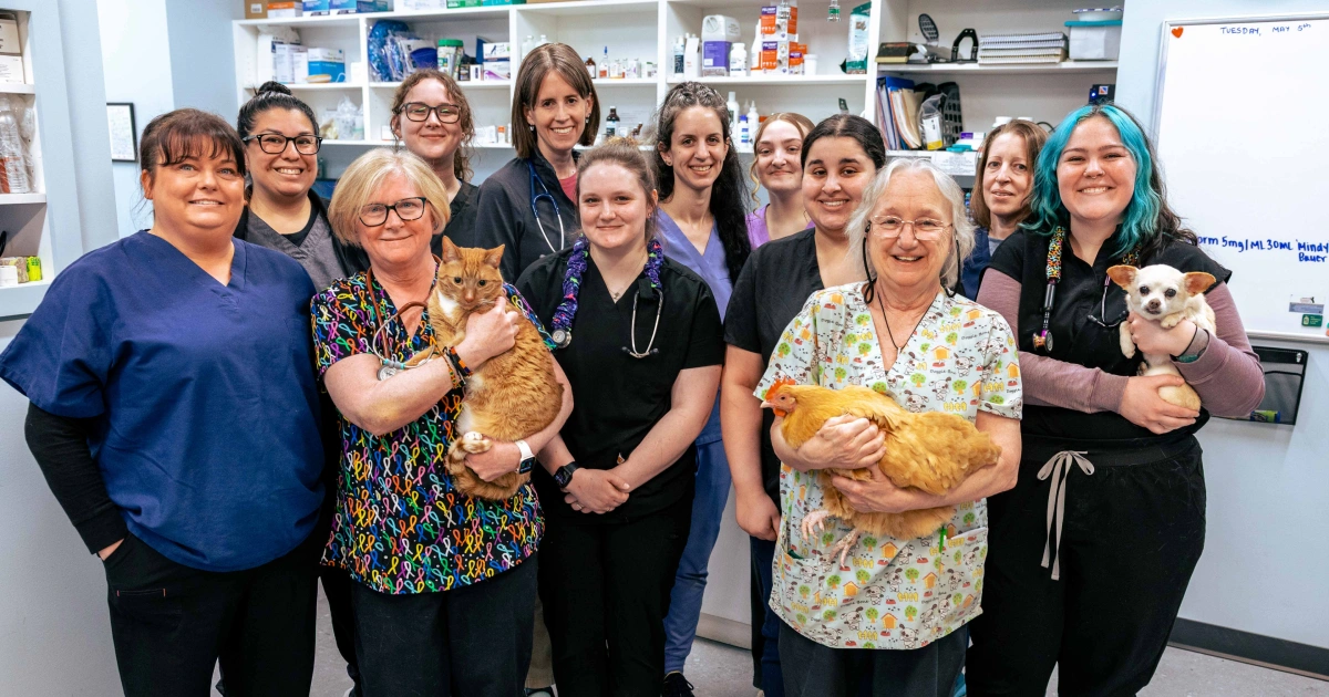 Meet Our Friendly Staff